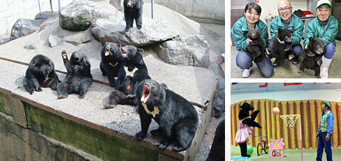 ����˂��ܖq��